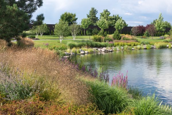 Pond Installation Service
