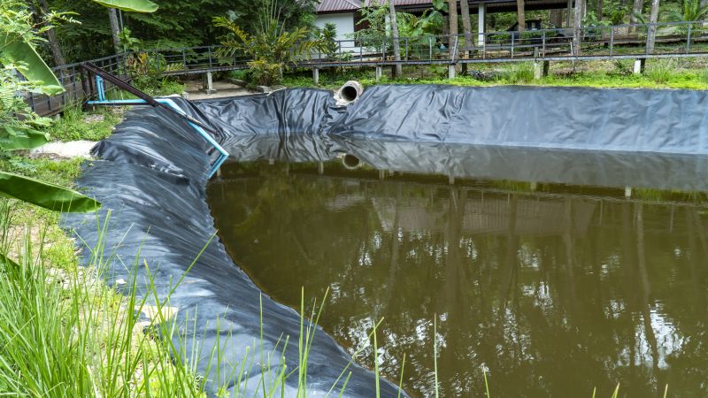 Fish Pond Installation in Ventura County, CA