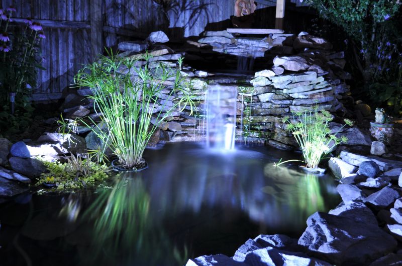 Fish Pond Installation in Honolulu, HI