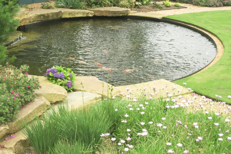 Garden Pond Installation in Honolulu, HI