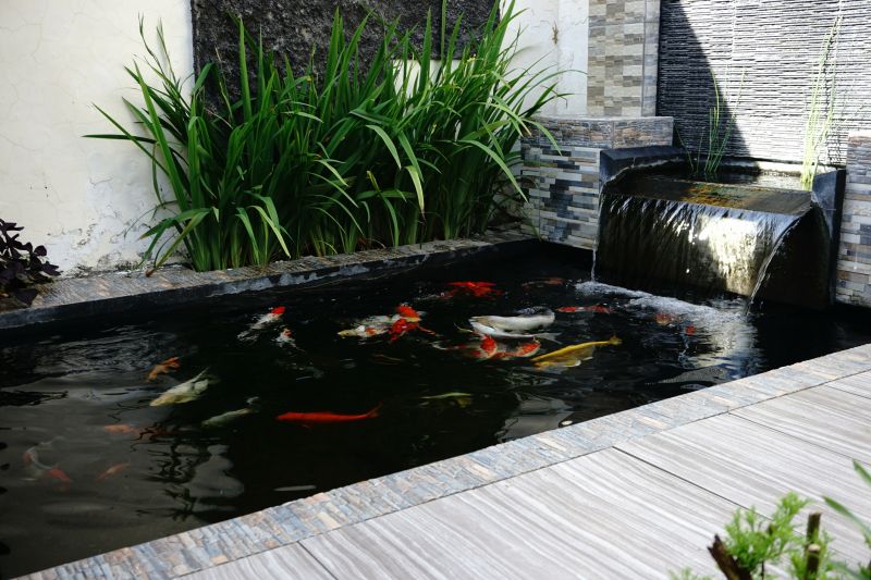 Koi Pond Construction in Ventura County, CA