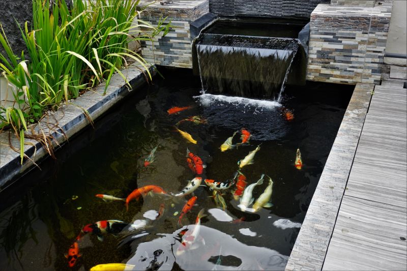 Koi Pond Installation in Ventura County, CA